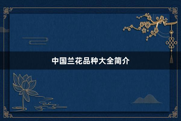 中国兰花品种大全简介