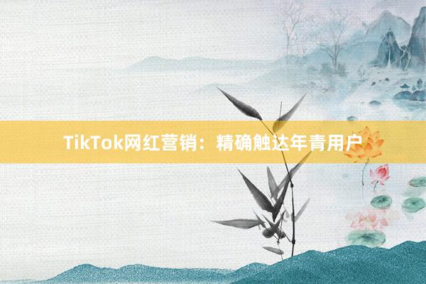 TikTok网红营销：精确触达年青用户